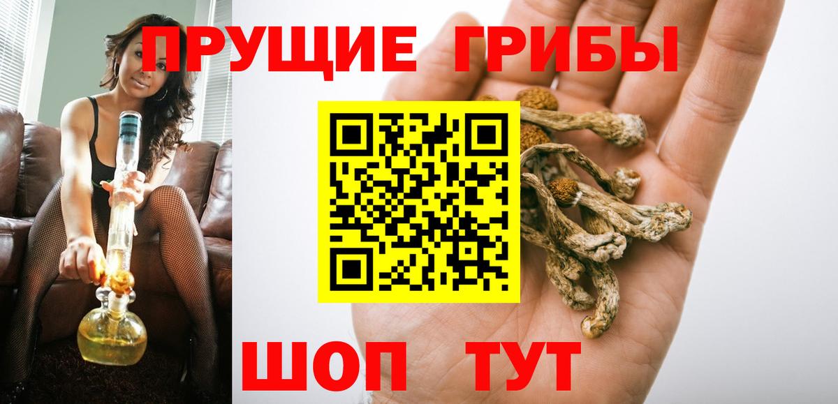 Тамбов  Галлюциногенные грибы Psilocybe  Галлюциногенные грибы Magic Shrooms  Вход с VPN 